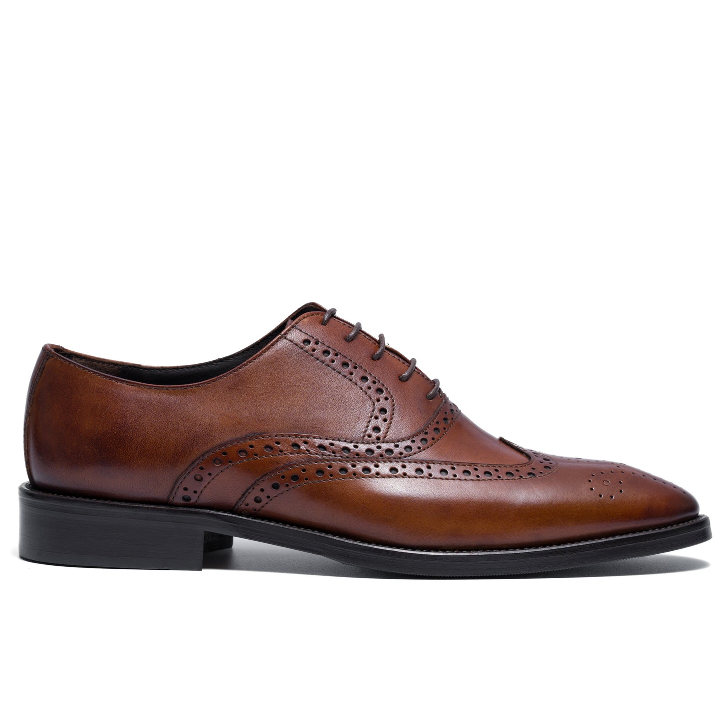 Chaussure Homme - Oxford Wingtip Cuio