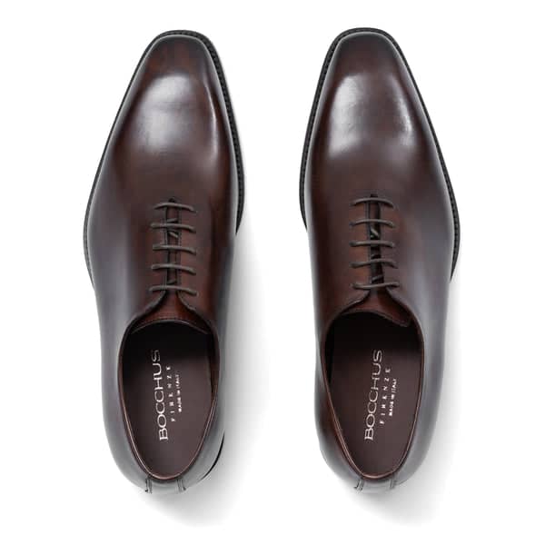 Chaussure Homme - Wholecut Oxford - Vittorio Marrone